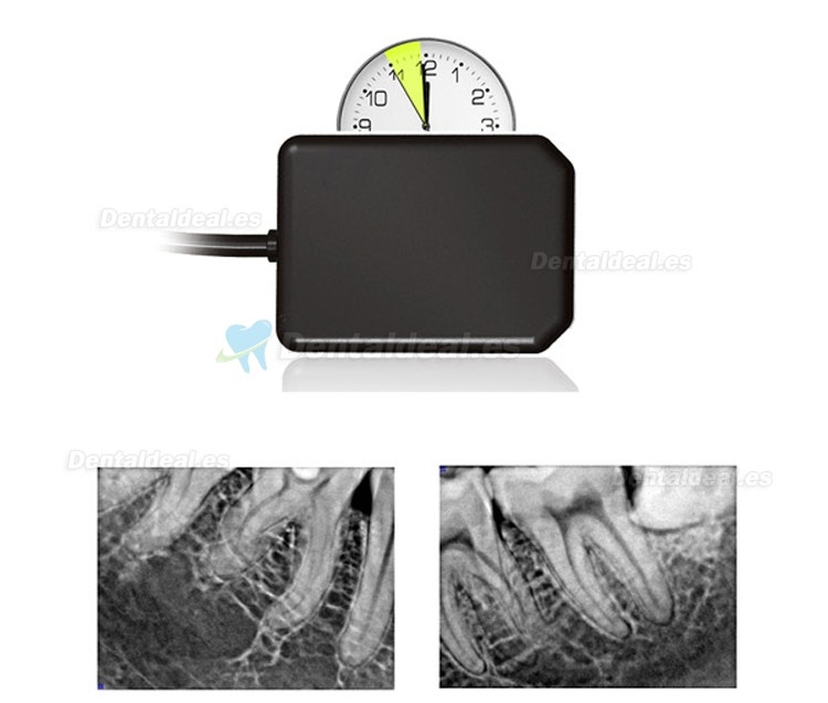 Sistema Práctico Digital USB Sensor de Rayos X útil HDR 500 Dental